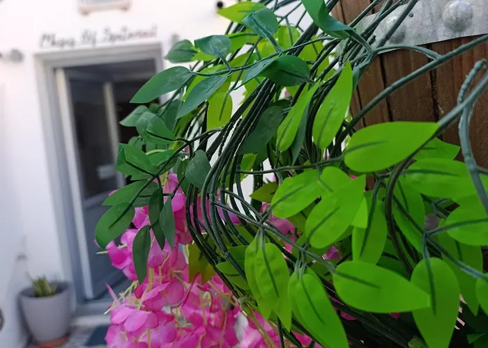 The Muses Of Santorini Private Jacuzzi Vothon